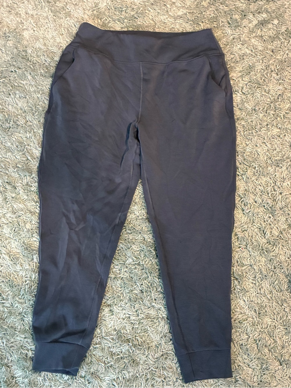 Sage collective blue-grey workout pants